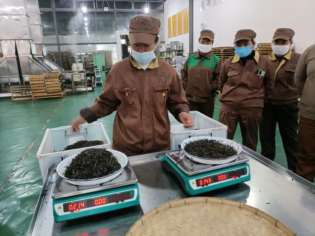 精益求精&middot;鑄造品質(zhì)｜六大茶山第十四屆技術(shù)大比武圓滿(mǎn)完成